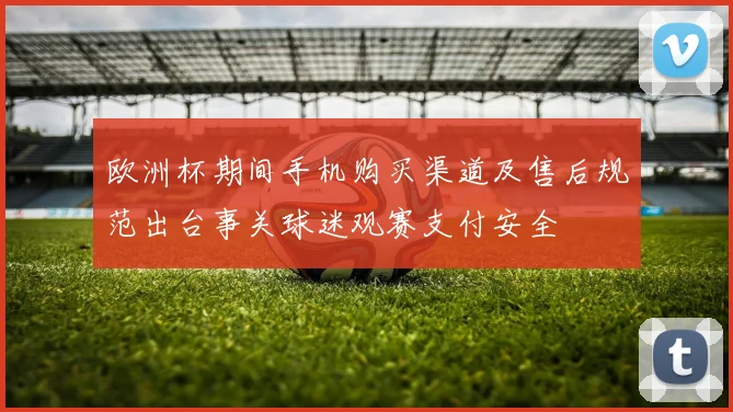 欧洲杯期间手机购买渠道及售后规范出台事关球迷观赛支付安全