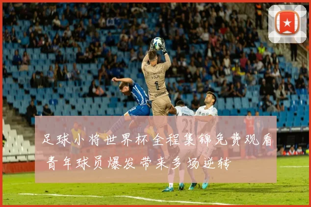 足球小将世界杯全程集锦免费观看 青年球员爆发带来多场逆转