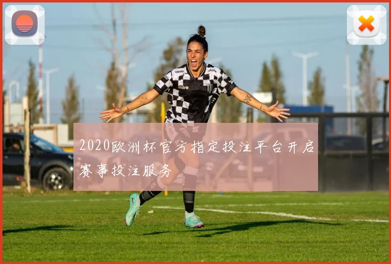 2020欧洲杯官方指定投注平台开启赛事投注服务