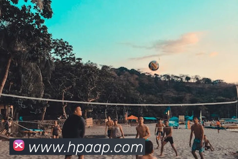 pg国际网站服务体系