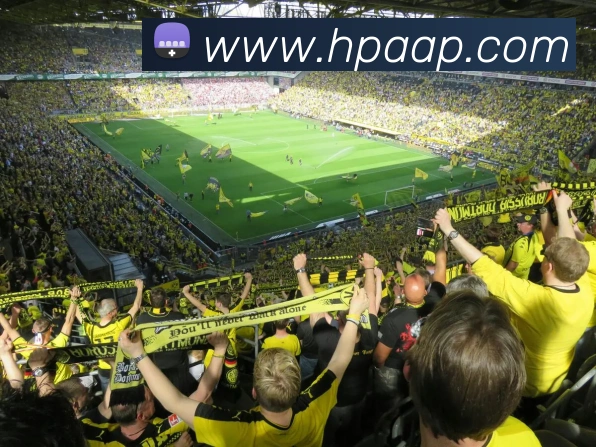 pg国际网站APP 体育赛事宣传图